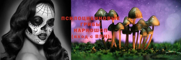 метадон Нязепетровск