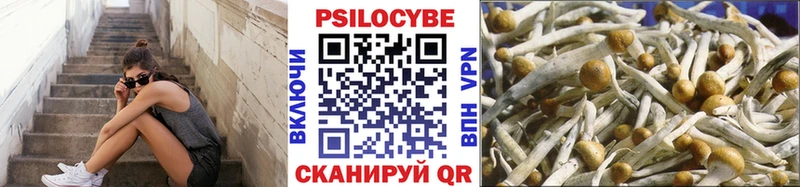 Псилоцибиновые грибы мухоморы  Кинешма 