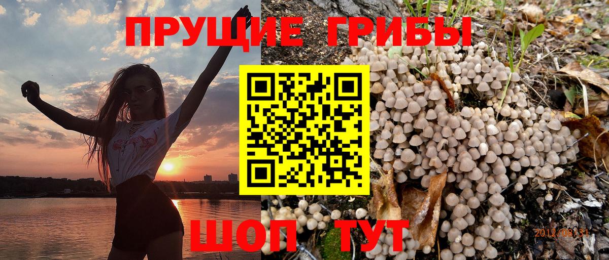 Галлюциногенные грибы GOLDEN TEACHER Кинешма