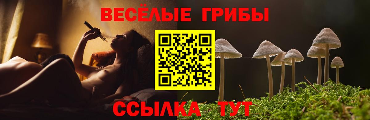 Кинешма  Псилоцибиновые грибы Psilocybine cubensis  Вход с VPN 